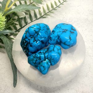 Turquoise Tumble Stone L
