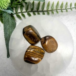 Tigers eye Tumble Stone