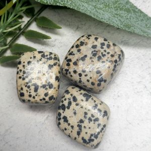 Dalmatian Jasper Tumble Stone