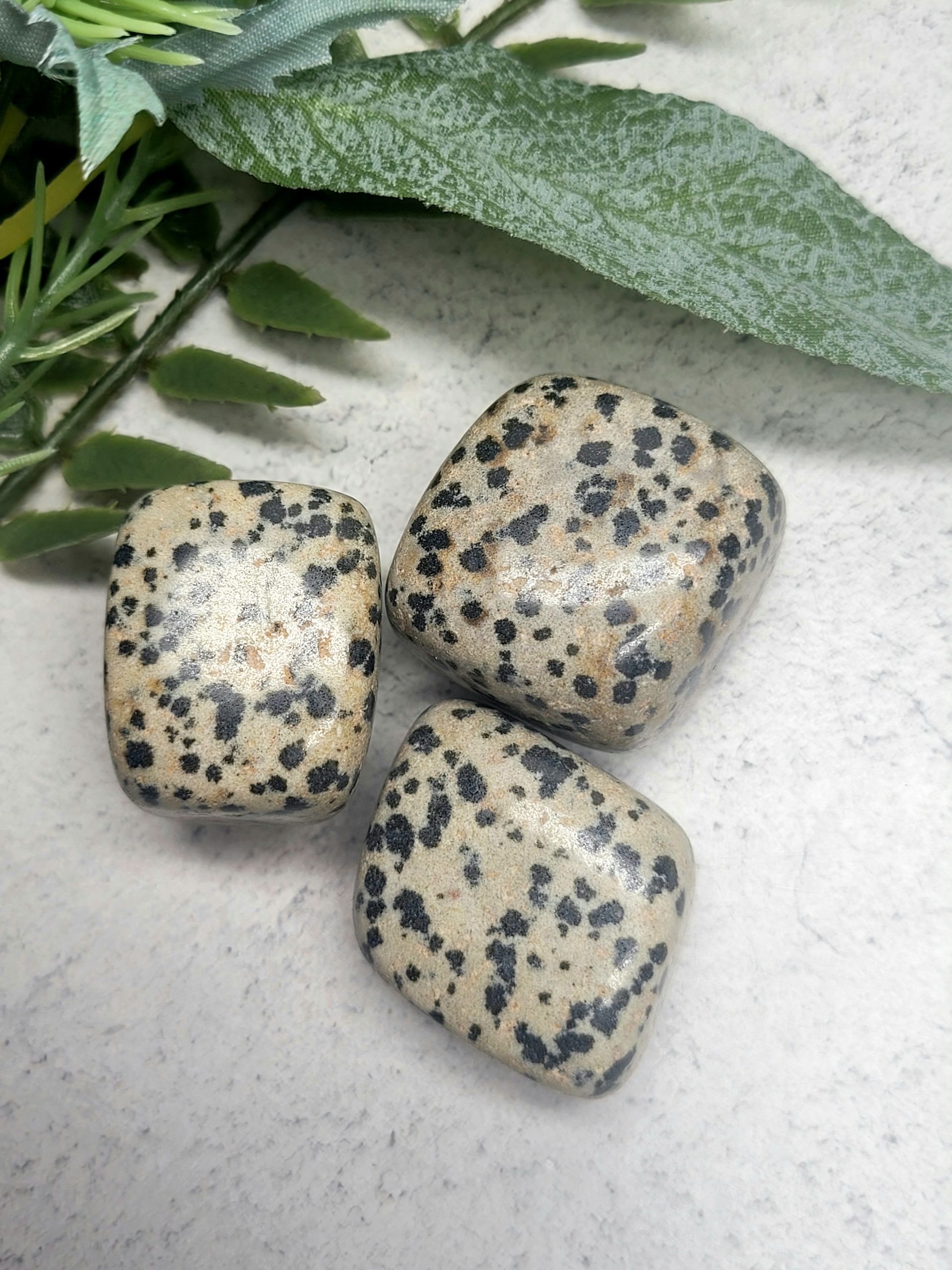 Dalmatian Jasper Tumble Stone