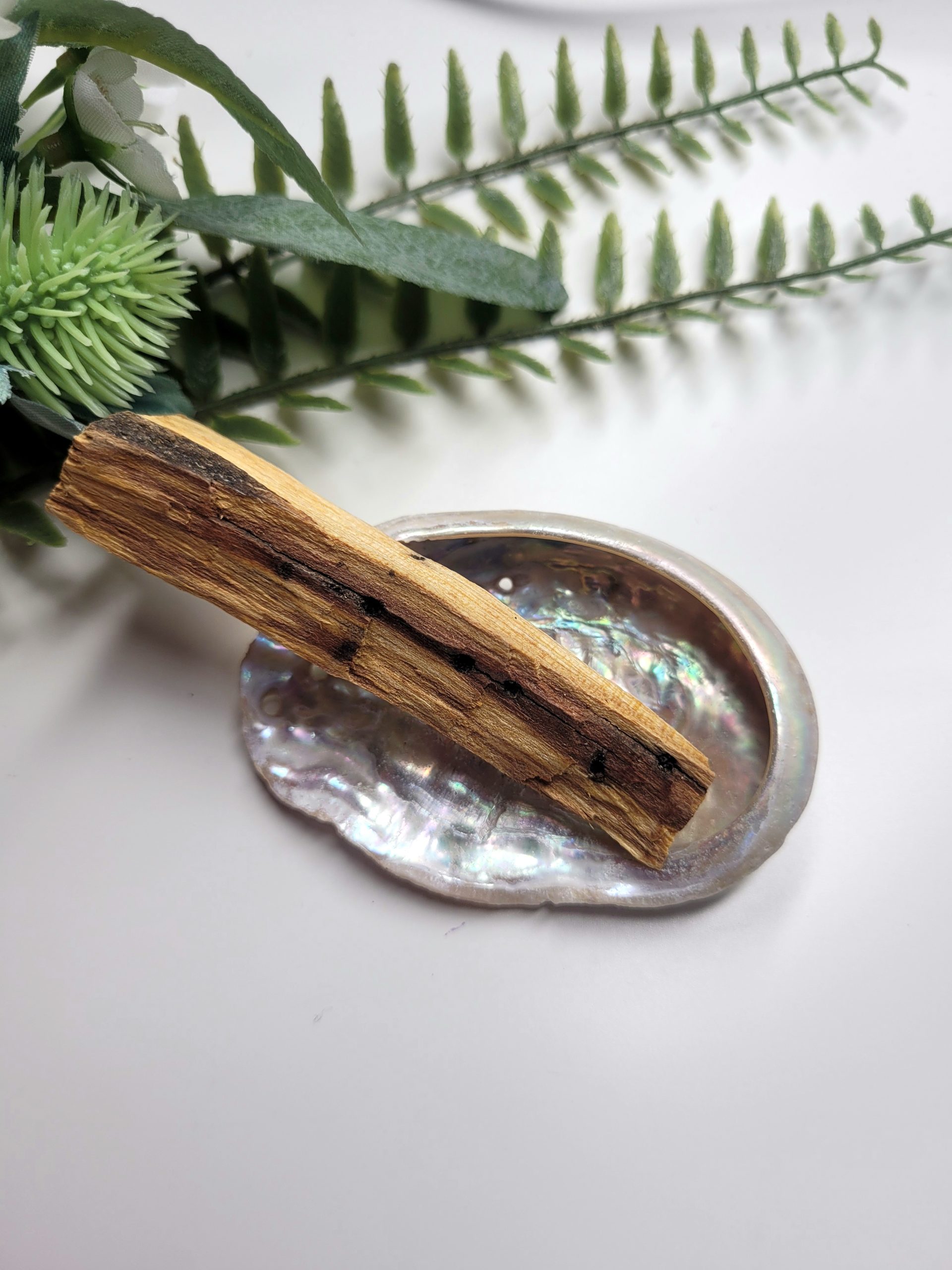 Palo Santo & Mini Abalone shell - Image 2