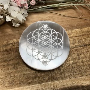 E48D86B7-9470-4C7A-B82D-C9086F049072 Selenite charging plate-Flower of life/Chakras