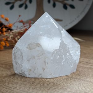 Clear Quartz Point 520g