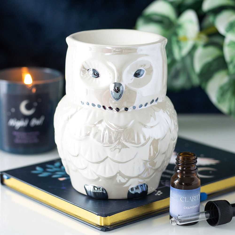 Owl iridescent wax melt/oil burner